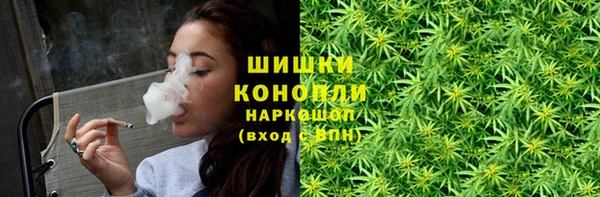стаф Михайловск