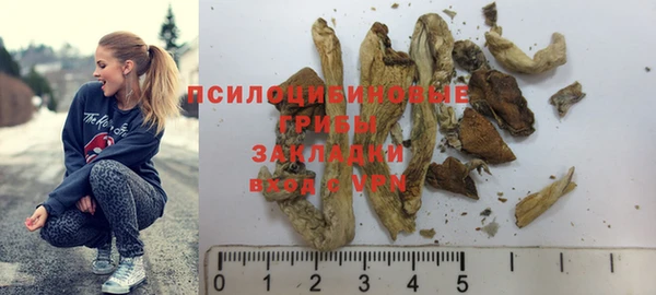 стаф Михайловск